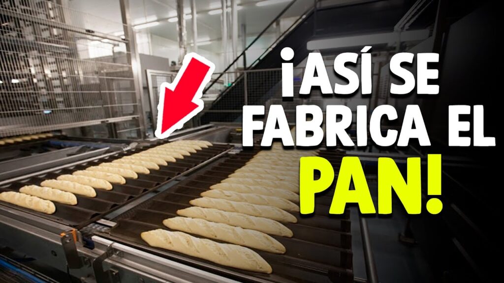 ¿Cuál es el proceso para hacer el pan?